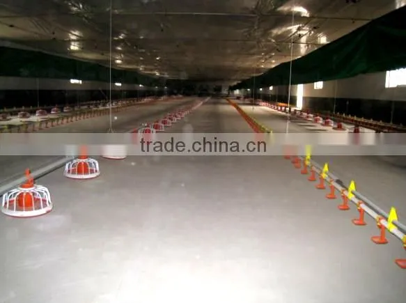 Automatic Feeders For Poultry Chickens/Poultry Farming Automatic Feeder photo-5