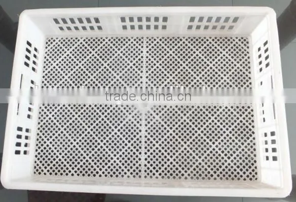 XSB-2 3168PCS Sales Promotion Automatic Egg Incubator for Hatching Eggs photo-5