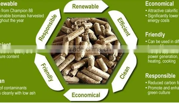 Rubber Wood Sawdust Pellet Production Line , Used Wood Pellet Production Line photo-6