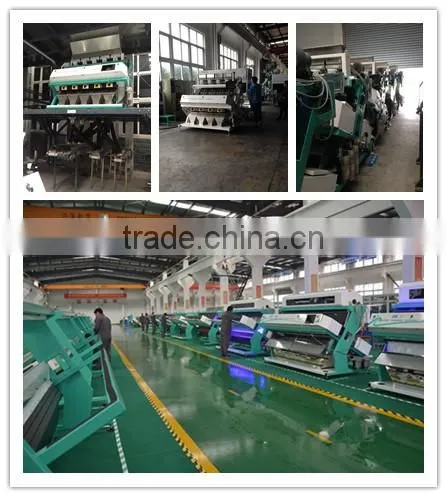Metak Peanut Kernel Color Sorter/ Belt Type Color Sorter photo-5