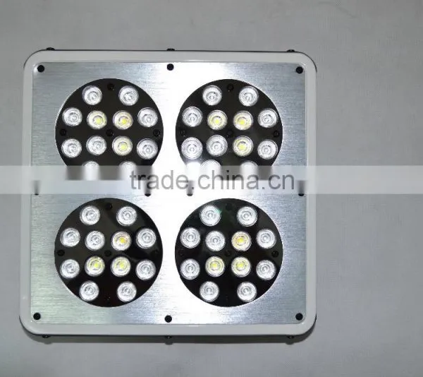 Wholesale Led Grow Lights photo-3