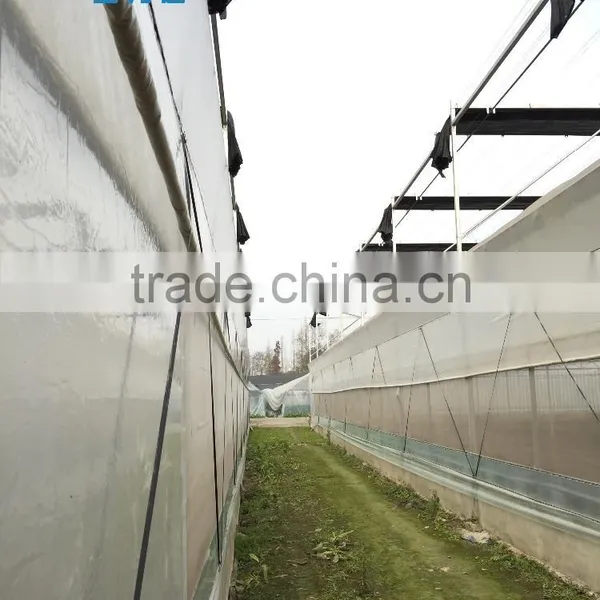 Factory Price BLD001 Plasctic Film Cover Greenhouse for Agricultural and Commercial Use photo-2