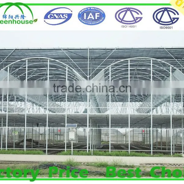 Commercial Dome Greenhouse for Agricultural photo-6