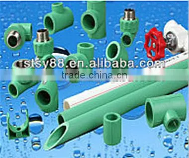 Professional Supply Ppr Equal Coupling, Ppr Socket, PPR Pipe Adaptor photo-5