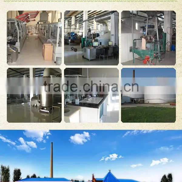 Concentrate ORANGE INSTANT POWDER DRINK Factory photo-6