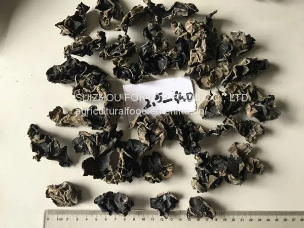 Factory Price Bulk Dried Black Fungus Whole Grade A (1.0-1.8cm,1.8-2.5cm,2.5cm Above) photo-3