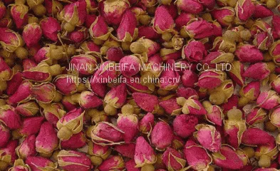 Hign Quality Rose Drying Equipment photo-4