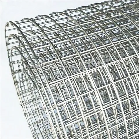 Stainless Steel Welded Mesh Hardware Cloth Galvanized Welded Wire Metal Mesh Roll Vegetables Garden Fence for Chicken Run Rehab Cage Window