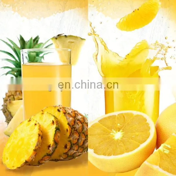 Industrial Pineapple Juice Extractor Machine photo-3