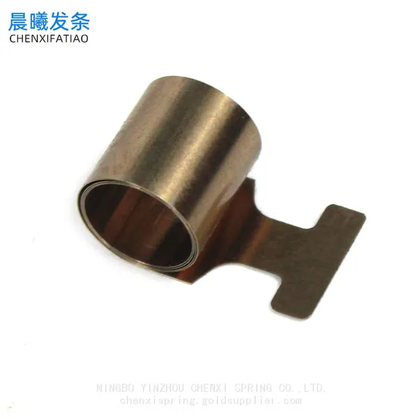 Stainless Steel Constant Force Spring for Food Boosters photo-5