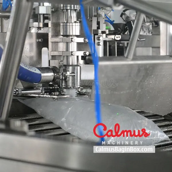 Bag in Box Filling Machine for Fully-automatic Liquid Packaging photo-3