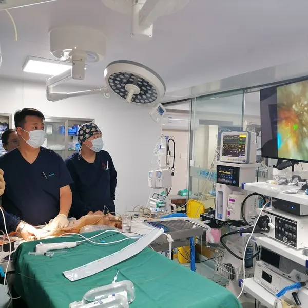 Potent Veterinary Thulium Fiber Laser Holmium:YAG Laser Lithotripsy System for Pet Animal Urology Bladder Stone Surgery photo-3