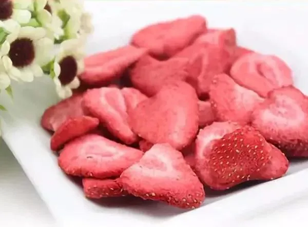 China Drying Machine Freeze Dried Fruit and Vegetable Production Line photo-3