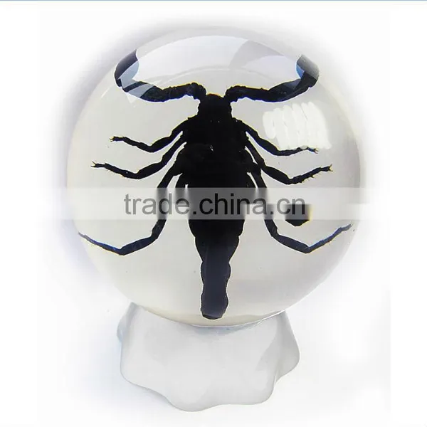6.0 cm Real Resin Acrylic Marble Ball With Bugs photo-2
