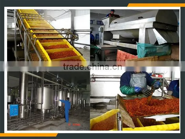 Leader Hot Sales Seabuckthorn Wine Process Line With Website:leaderservice005 photo-3