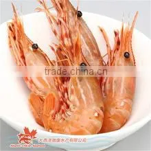 SHRIMPS photo-2