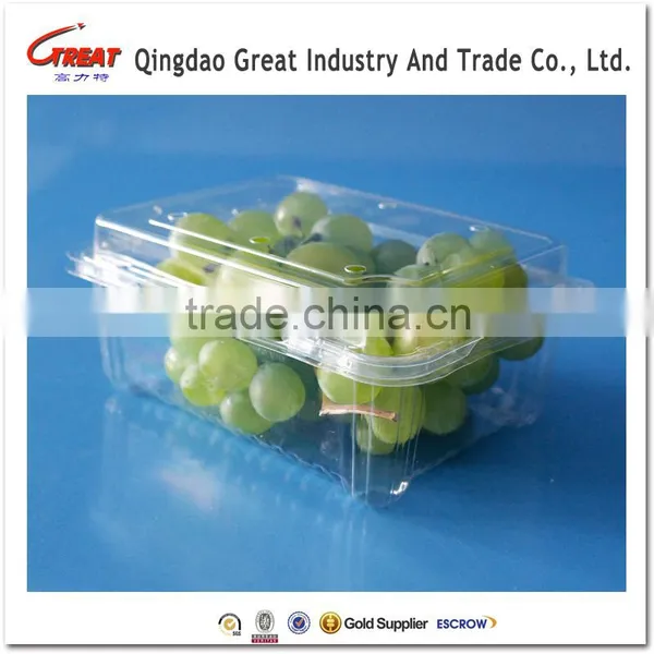 Plastic Fruit Container Clamshell Packaging Blister Packaging for Tomatoes photo-3
