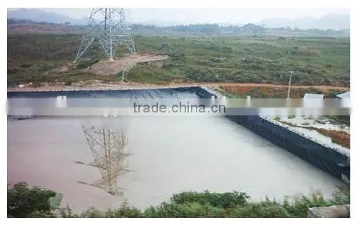 High Quality Hdpe Ponds Geomembrane photo-4