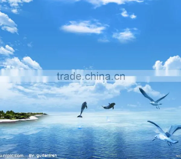Door to Door Shipping Service Freight Forwarder International Shipping Rates From China to Paraguay Website:shitou_0308