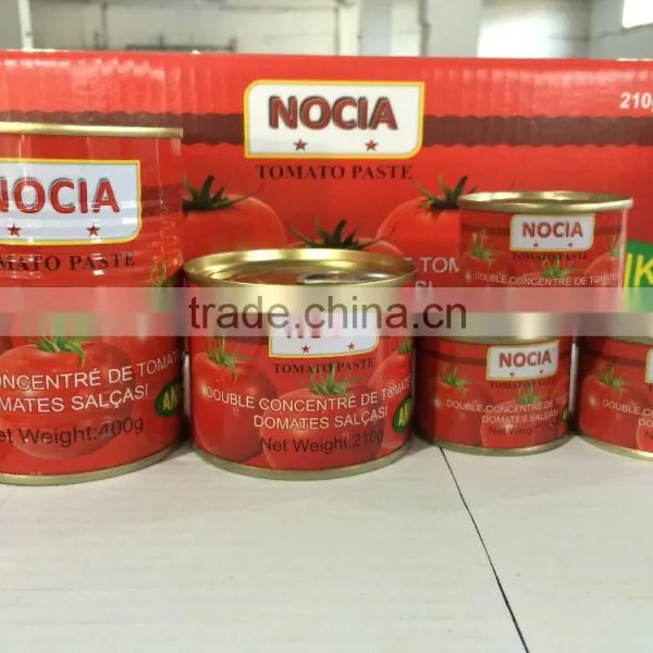 Tomato Paste 22/24 Concentration photo-6