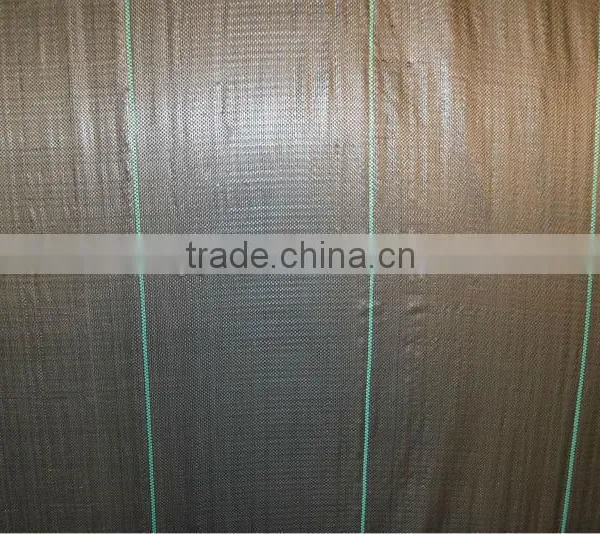 Newest Weed Barrier /weed Control Fabric photo-4