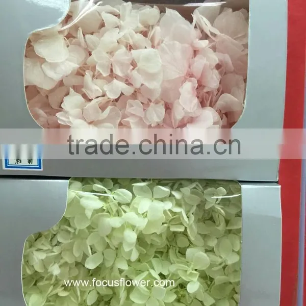 Top Quality Flower Export Preserved Flower Colorful Wholesale Artificial Hydrangea Flowers photo-2