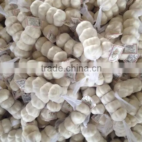 China Good Quality Garlic /fresh Garlic/5.0cm-5.5cm Garlic photo-4