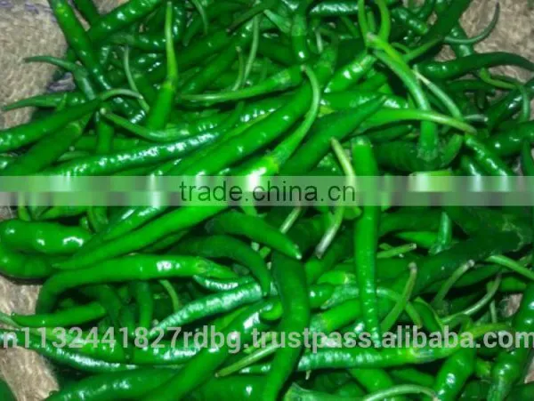 Indian Fresh Long,dark Green and Spicy Green Chilli Exporter photo-2