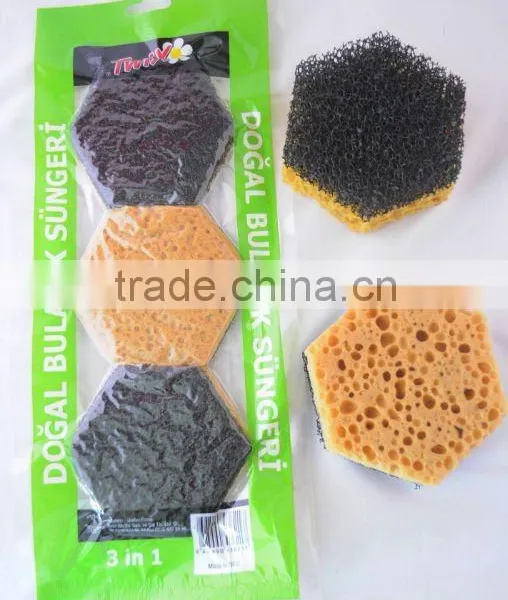 compressed sponge