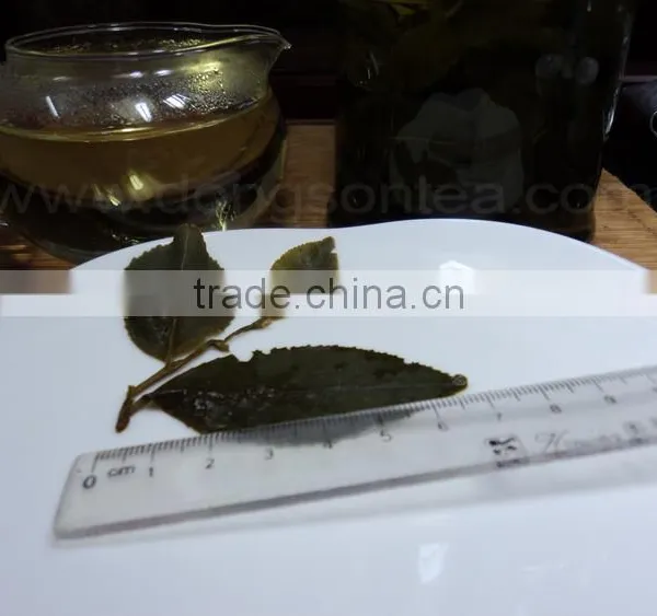 Whole Leaf GREEN TEA photo-3