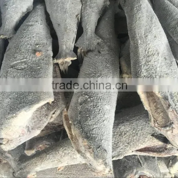 Good Quality Frozen HGT Hamachi in 2016 photo-4
