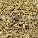 Fennel Seeds