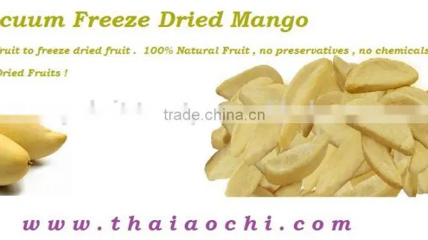 Best Selling Freeze Dried Mango " Nam Duk Mai " From Thailand [ Certified HACCP , ISO 22000 , GMP , HALAL and KOSHER ] photo-2