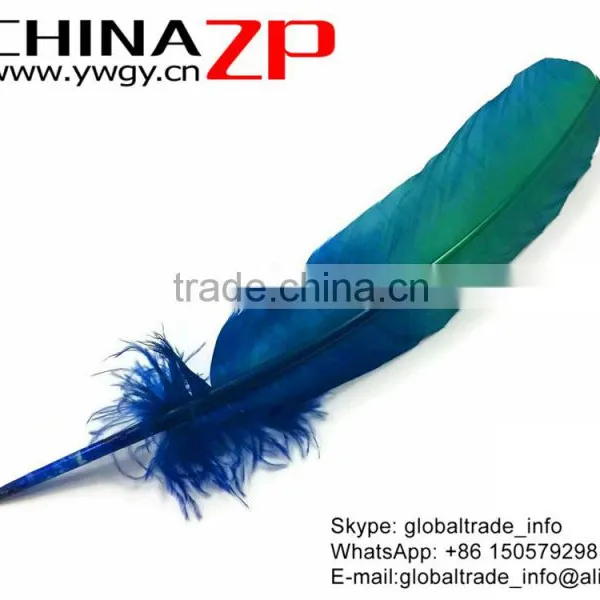 CHINAZP Natural Plumage Wonderful Quality Dyed Blue Green Ombre Bicolourable Turkey Feathers for Party Decoration photo-2