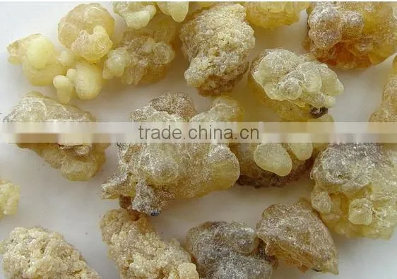 Boswellia Serrata Extract Powder photo-2