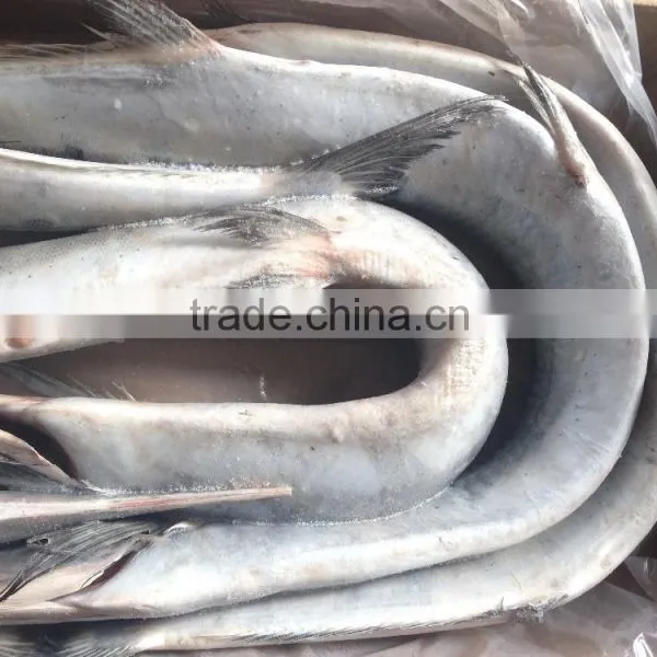 Frozen Whole Round Japanese Bleeker (Tylosurus Melanotus) photo-2