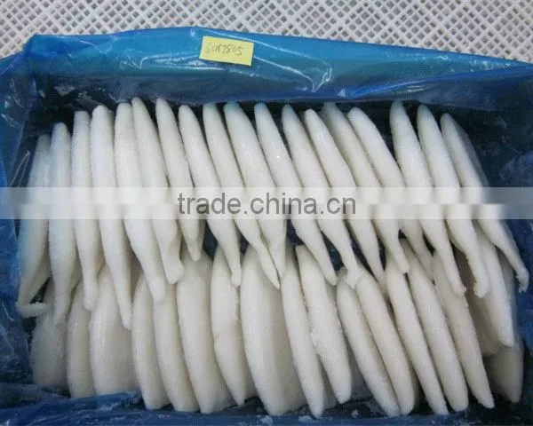 Frozen Squid