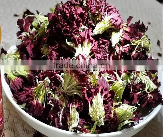 New Crops Dried Carnation