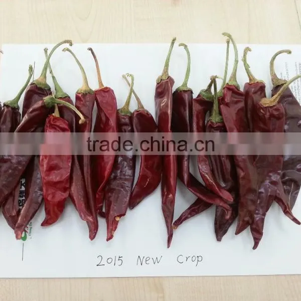 TianYing Chili Pepper photo-5