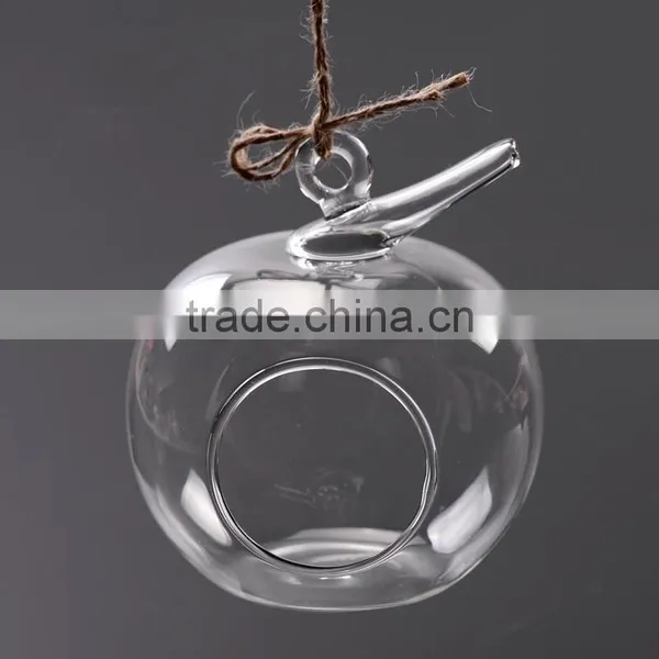 Micro Landscape Ecological Meaty Plant Glass Vase Apple Shape photo-3