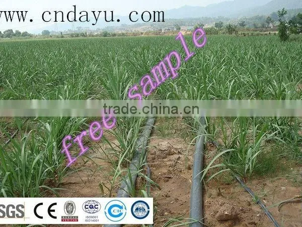 Irrigation Drip Tape and Pipe photo-4