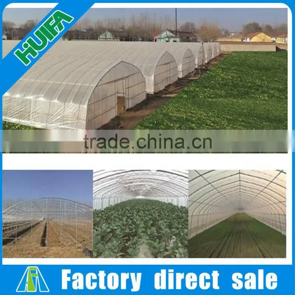 Agriculture Used Polycarbonate Tunnel Greenhouse Kits for Sale photo-4