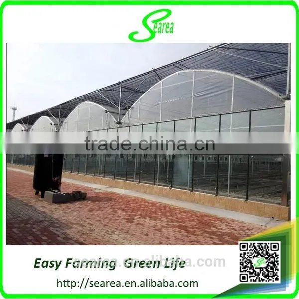 Venlo Glass Cover Metal Frame Greenhouse photo-3