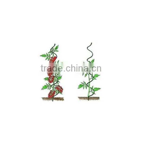 Galvanized Growing Tomato Spiral for Climbing Plant photo-6