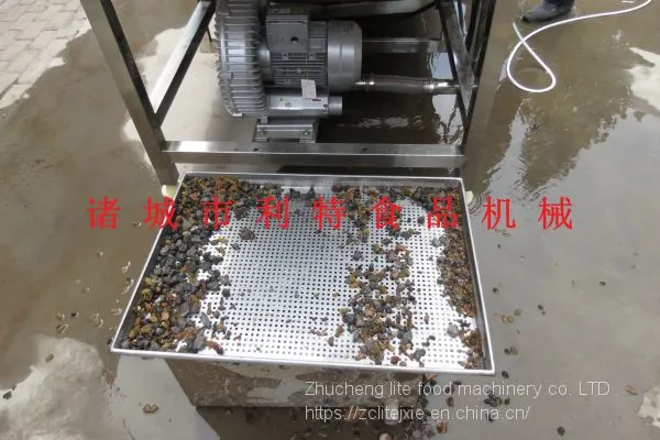 Raisin Washing Line Raisin Cleaner Raisin Processing Equipment photo-2