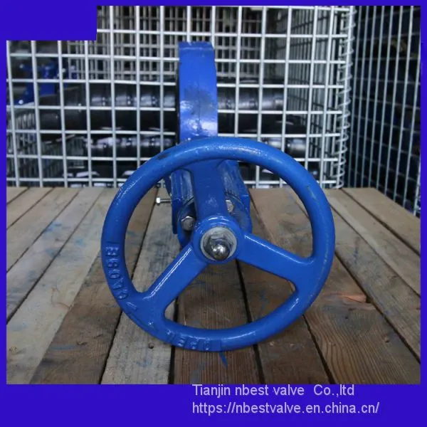JIS Standard 5K Vertical Gear Solid Core Butterlfy Valve DN125 photo-5
