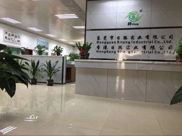 Dongguan Riteng Industry Co.,Limited company overview - view 2