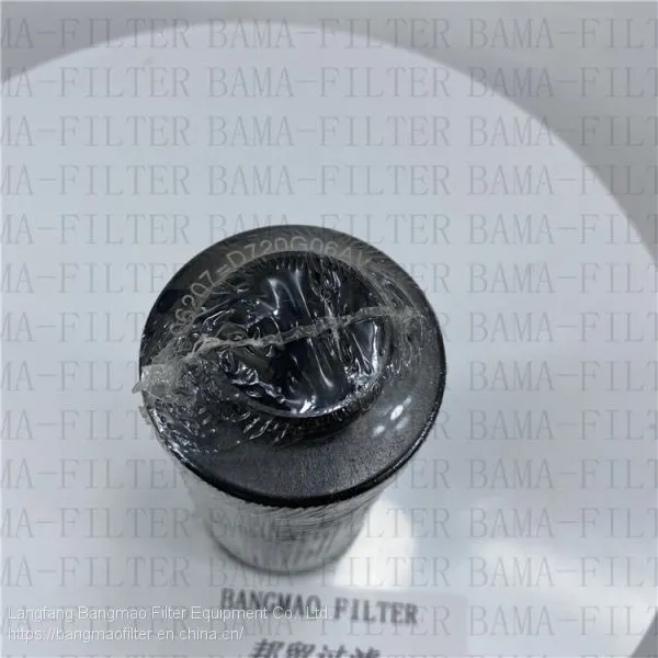 BANGMAO Replacement FILTREC Hydraulic Oil Filter D720G06AV Filter Element photo-3