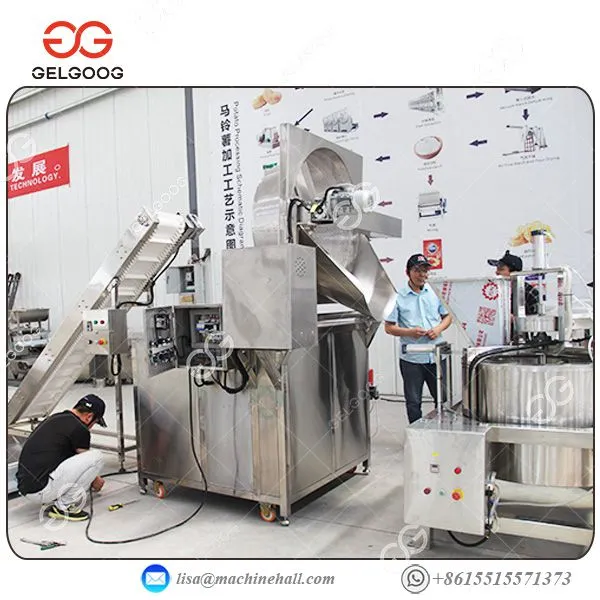 Stainless Steel Automatic Industrial Broad Beans Frying Machine photo-3