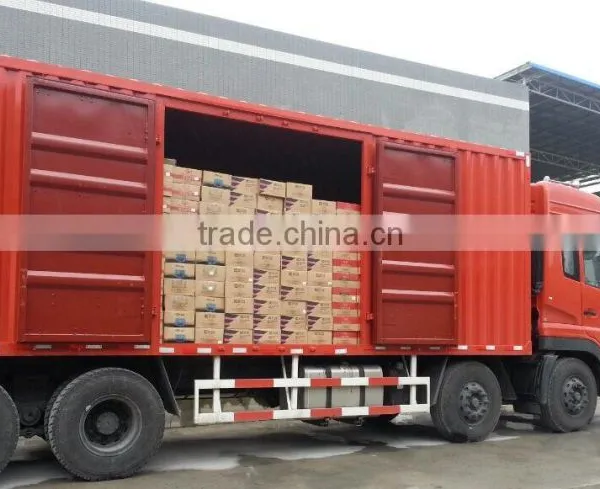 Car Polyester Putty photo-6